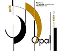 OPAL GOLD Professional Violin Set