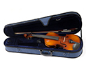 Raggetti RV2 Violin Outfit in Shaped Case - 4/4